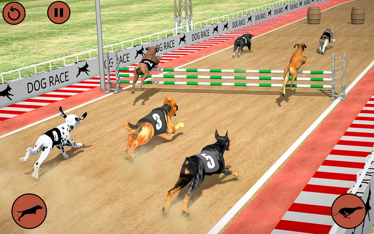 Bí Quyết Chinh Phục Game Đua Chó Tại MU88 Nhanh Chóng